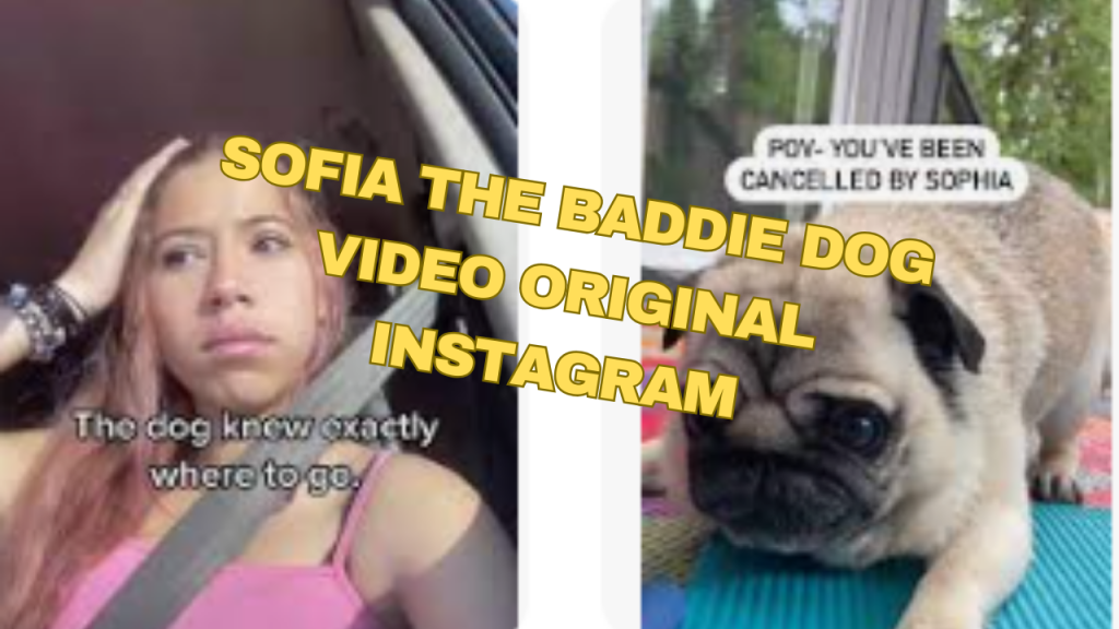 Sofia The Baddie Dog Video Original Instagram